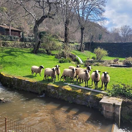 Bed and Breakfast Le Moulin Saint-Arcons-d'Allier Esterno foto