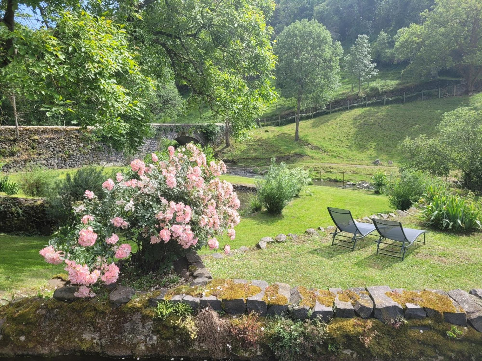 Bed and Breakfast Le Moulin Saint-Arcons-d'Allier Esterno foto